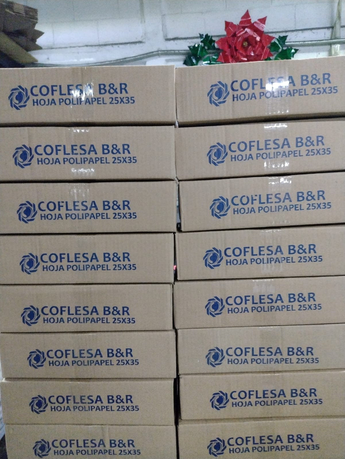 Imagen de galería: WhatsApp Image 2026-01-27 at 18.41.14.jpeg